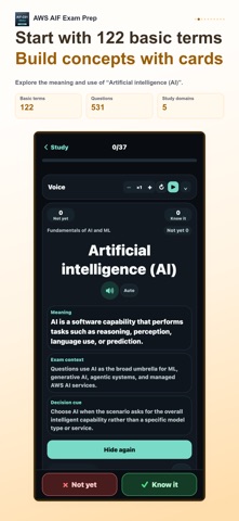 AWS AIF AI Practitioner Screenshot 2 of 10