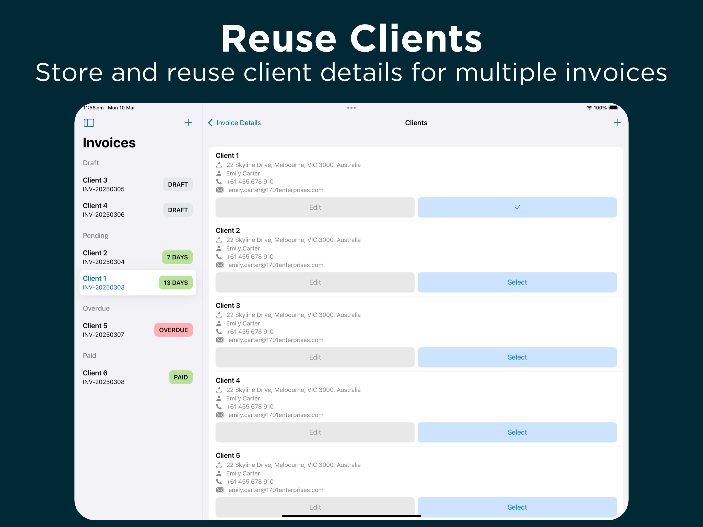 Invoice Fly Template Generator screenshot 14
