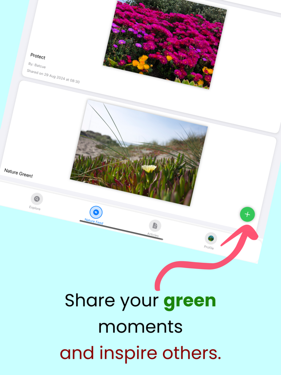 Screenshot #5 pour Nature Core