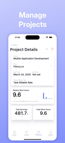 Flancy: Time & Project Log screenshot