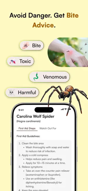 Insecto AI: Bug Identifier screenshot 3