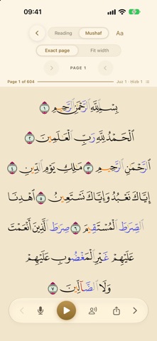 Deen Companion screenshot 4