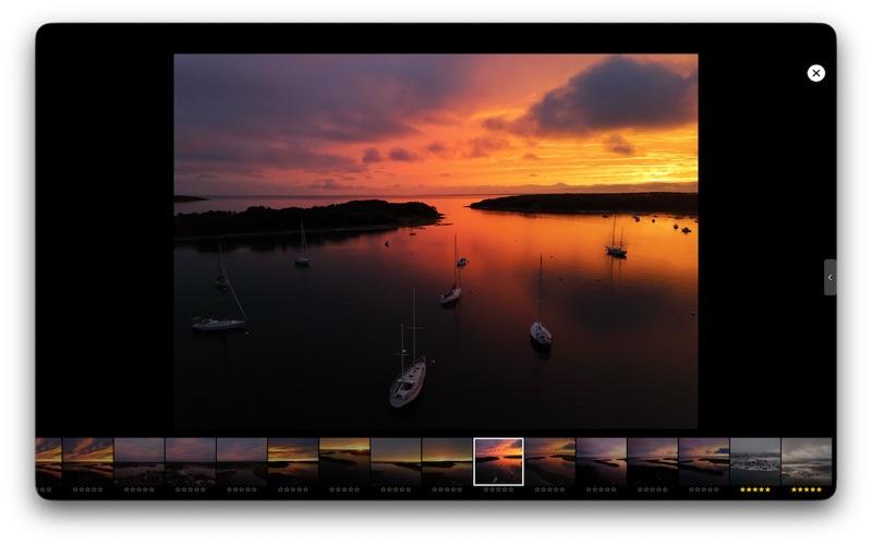 Prune – Photo Library Manager screenshot