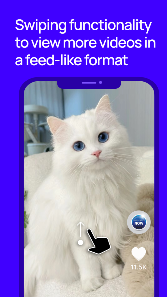 #1. Cat Tok - Kitty Video & AI (iOS) Με: 宇 陈