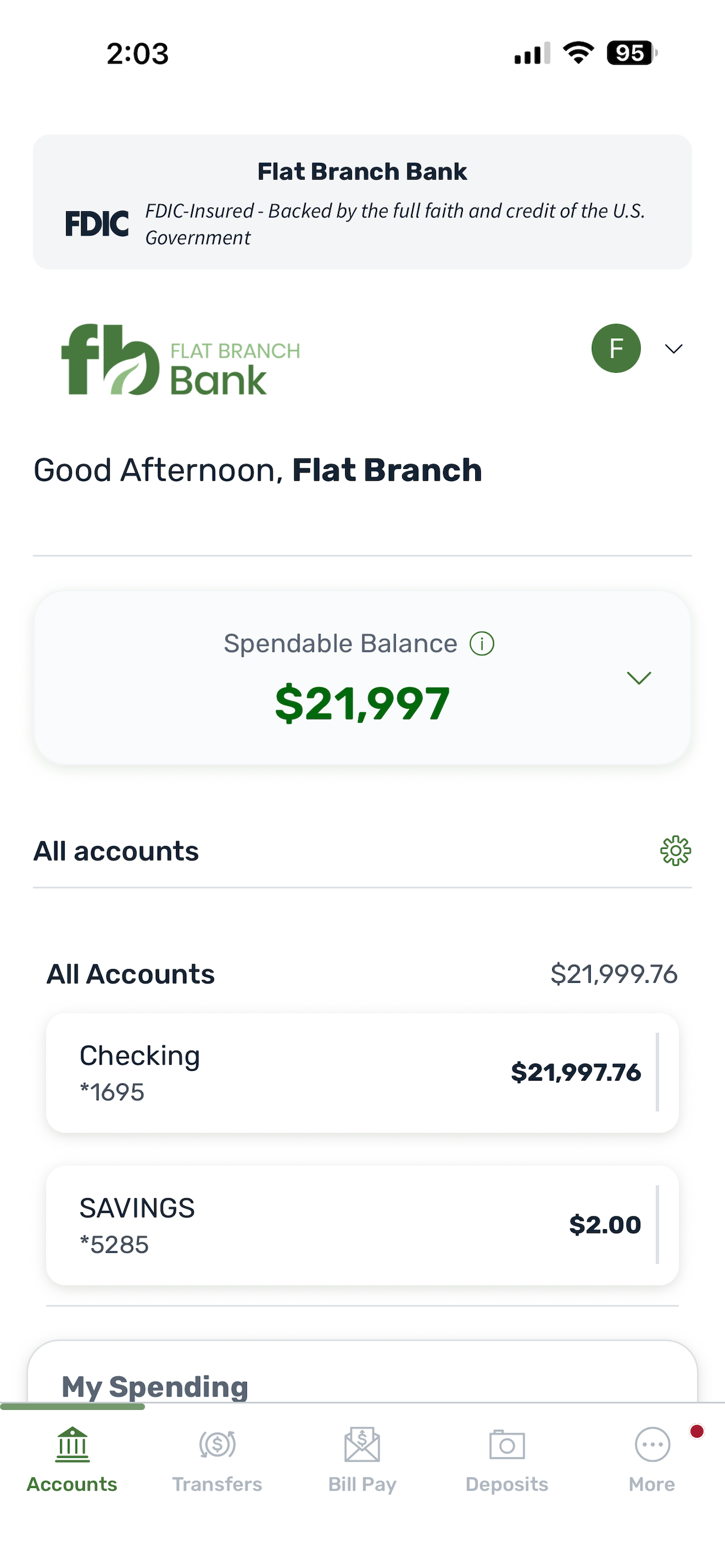 Flat Branch Bank screenshot 3