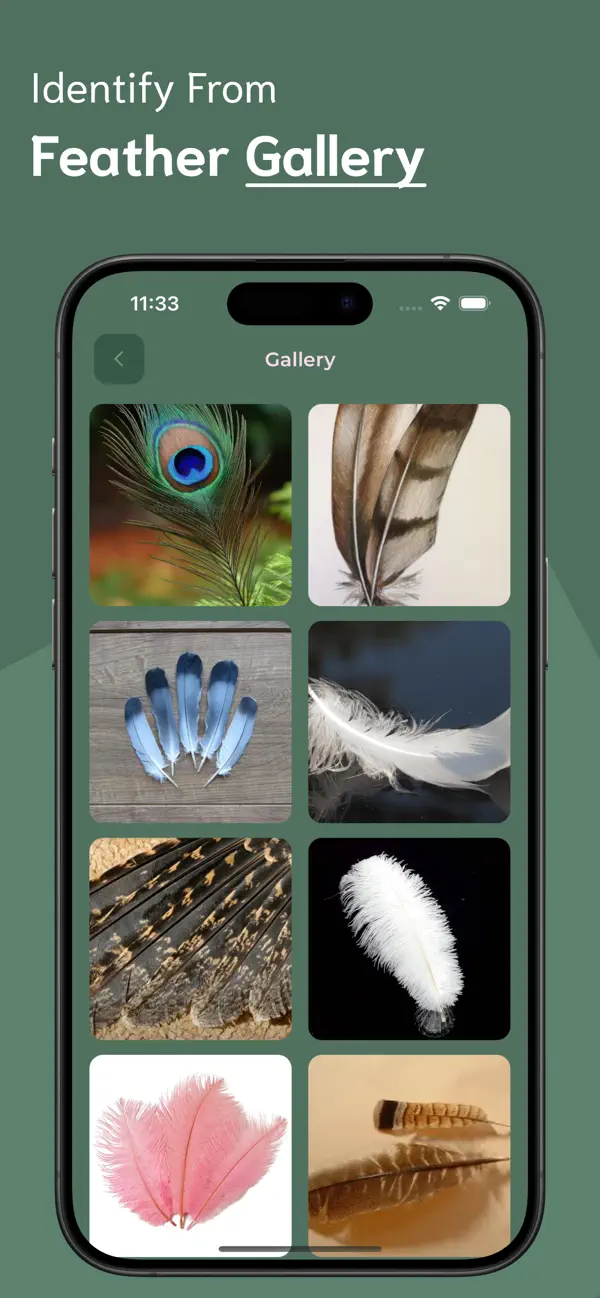 #6. Feather Identifier - FI (iOS) Ved: Ankur Dhameliya
