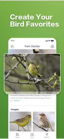 BirdAiSnap-Bird Identify iPhone screenshot