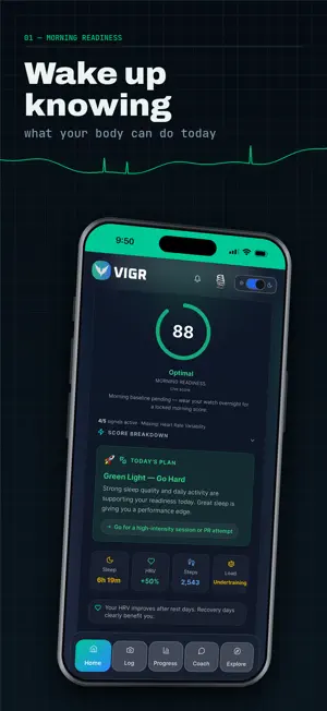 VIGR screenshot 1