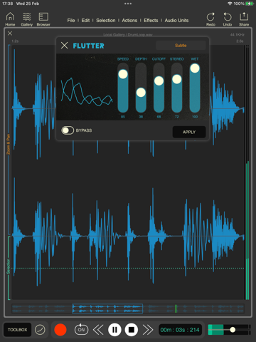 Wavebox Audio Editor iPad screenshot