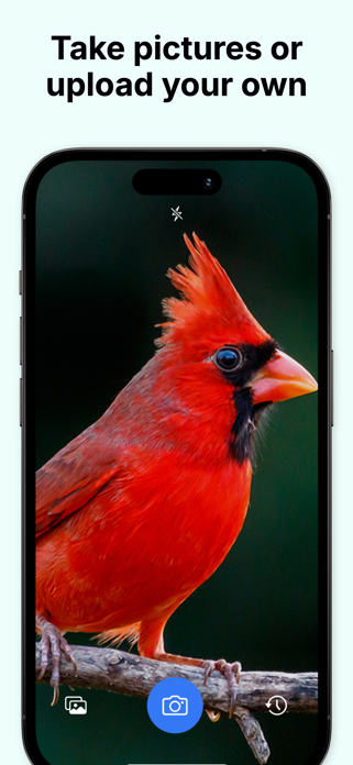 Bird Identifier - Birding ID Screenshot 4 of 6