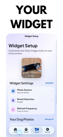 Daily Doggo screenshot