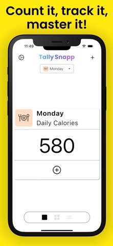 TallySnapp - Tally Counter App Screenshot 2 of 3