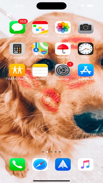 PFP X Dogs Wallpapers UHD! Screenshot