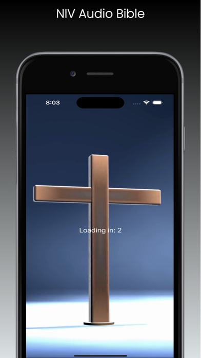 NIV Audio Bible Screenshot