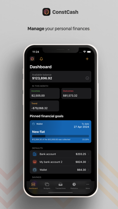ConstCash: Budget Manager Screenshot