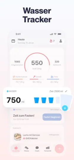 Screenshot von Welmi - Kalorienzähler auf dem iPhone 5