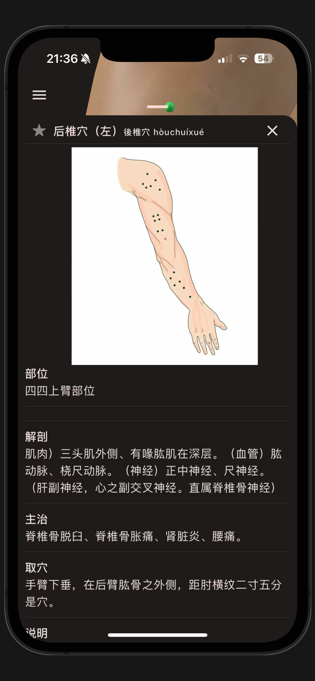 董氏奇穴-3D互动版