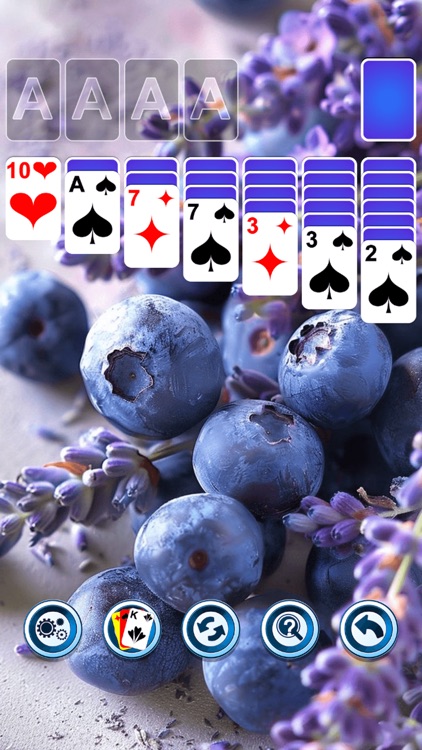 Solitaire Puzzle Card Game