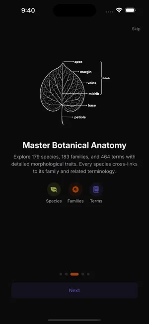 RadicleBotany screenshot 2