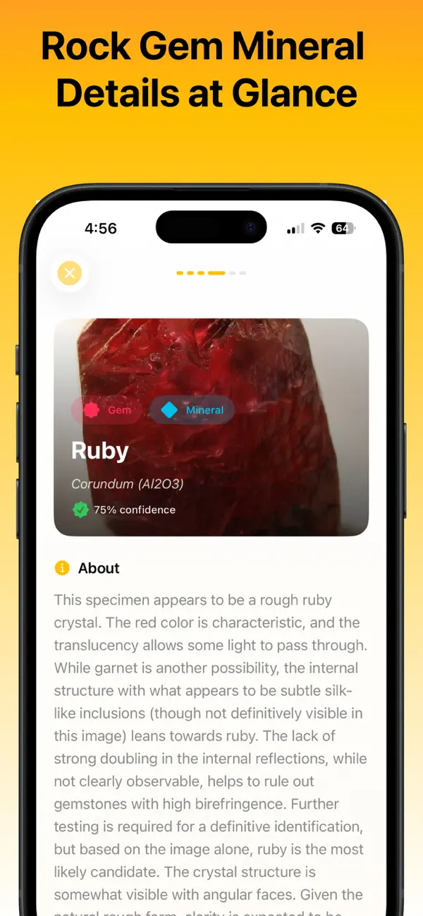 Screenshot #3 pour Rock Identifier: Rockly