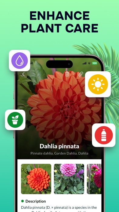Plant Identifier: Nature ID AI Screenshot