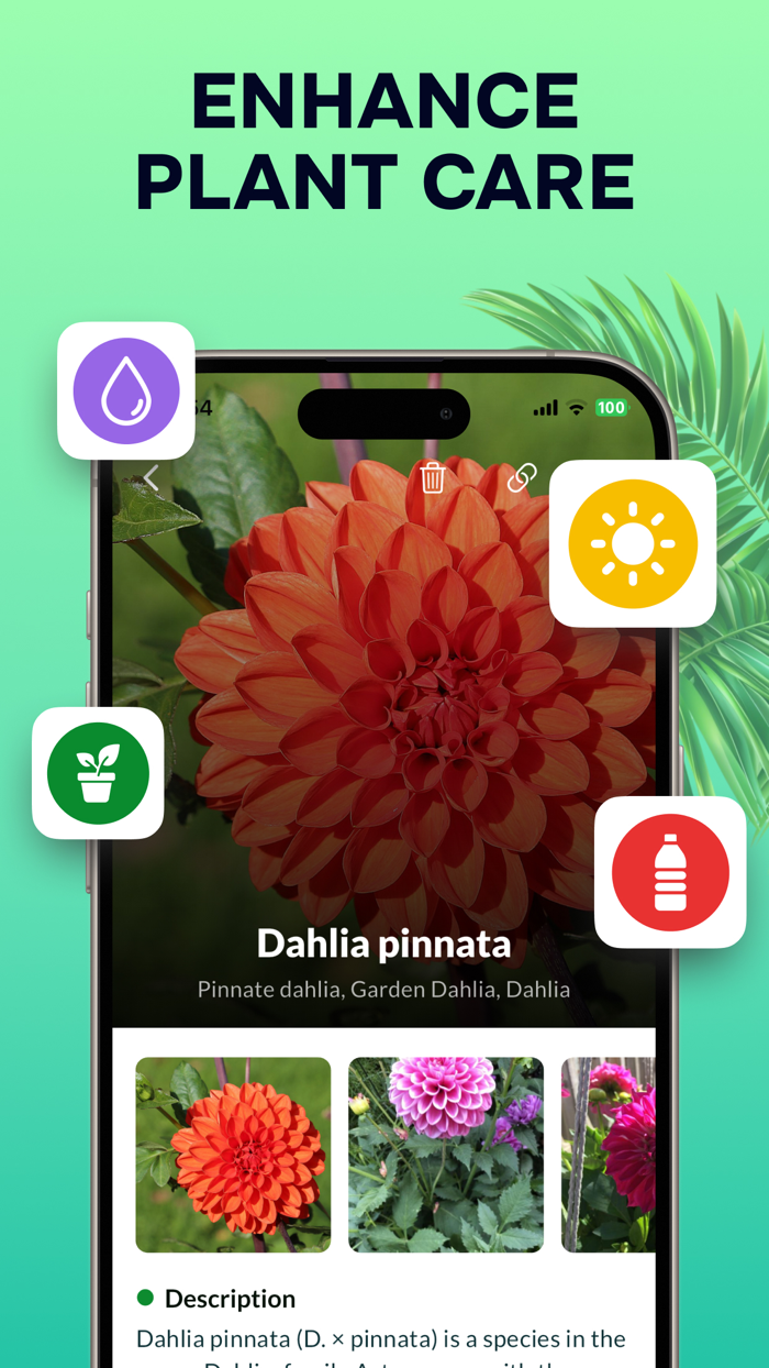 Plant Identifier Nature ID AI