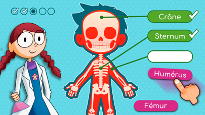 Screenshot #1 pour BodyQuest Premium: Anatomie