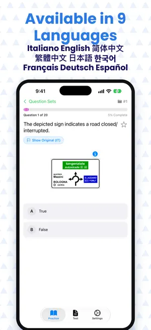 IT Driving Test screenshot 4