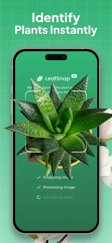 Plant Identifier: LeafSnap screenshot 1 of 6
