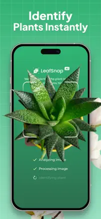 Plant Identifier: LeafSnap : capture d’écran 1 sur 6