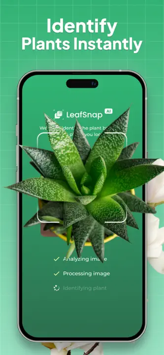 Plant Identifier: LeafSnapのスクリーンショット（1/6）