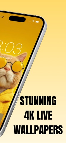 Aesthetic Cat Wallpapers 4K screenshot