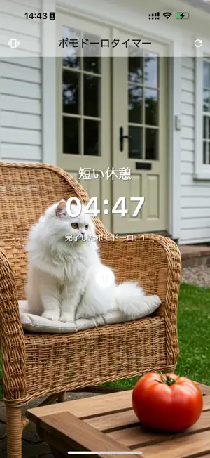 Cats Pomodoro Timer screenshot 2