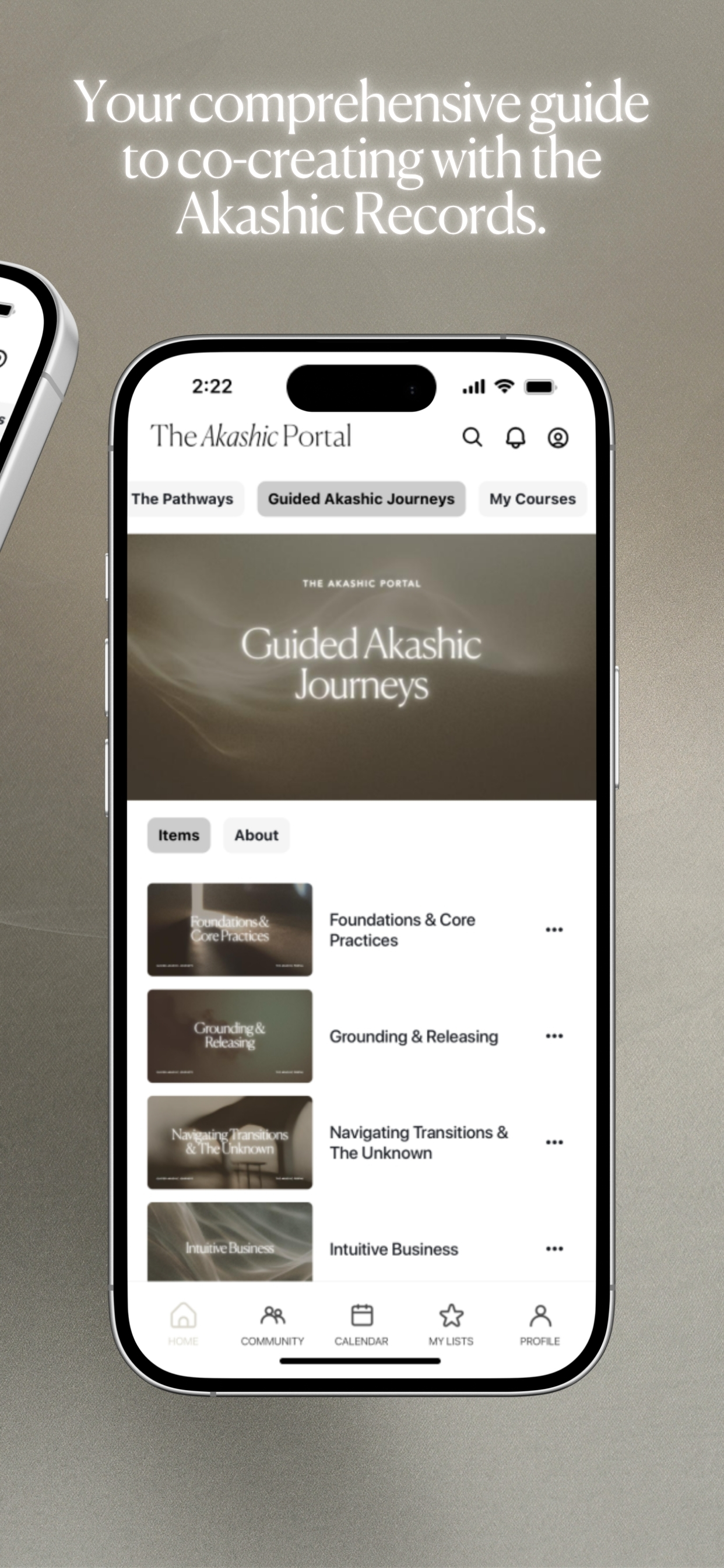 The Akashic Portal screenshot 2