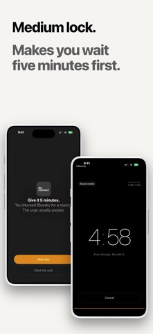 Digital Detox Lock: Disconnect screenshot
