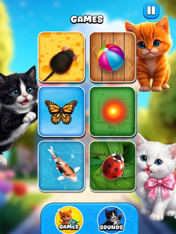 Games for Cats - Kittens Play iPad screenshot