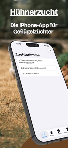Hühnerzucht screenshot