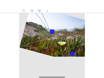 Photo Cut + iPad screenshot