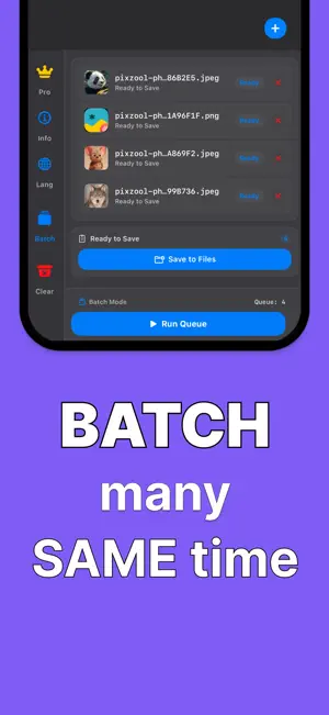 Pixzool: Photo Converter screenshot 3