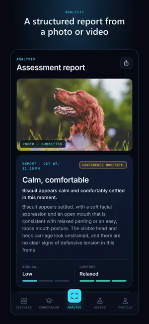 DogTells screenshot 2