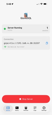 GizmoSQL Screenshot 1 of 4