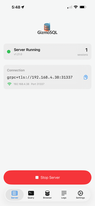GizmoSQL Screenshot 1 of 4