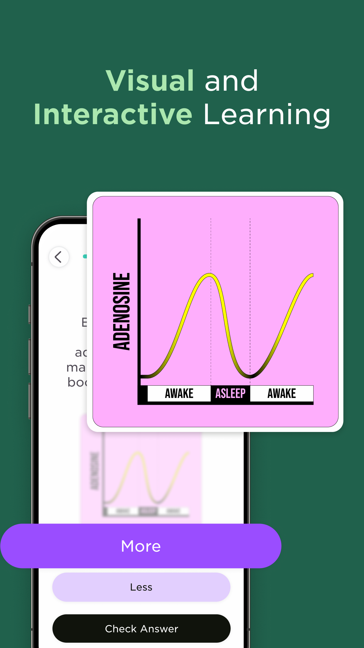 Imprint: Visual Micro Learning screenshot 2
