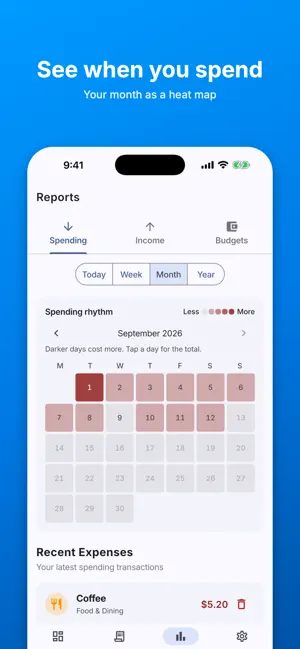Paisaflow: Expense Tracker screenshot 1