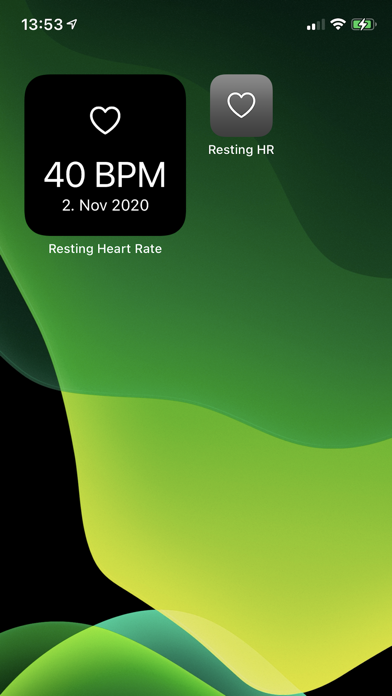 Resting Heart Rate Tracker iPhone screenshot 1 - Health & Fitness app