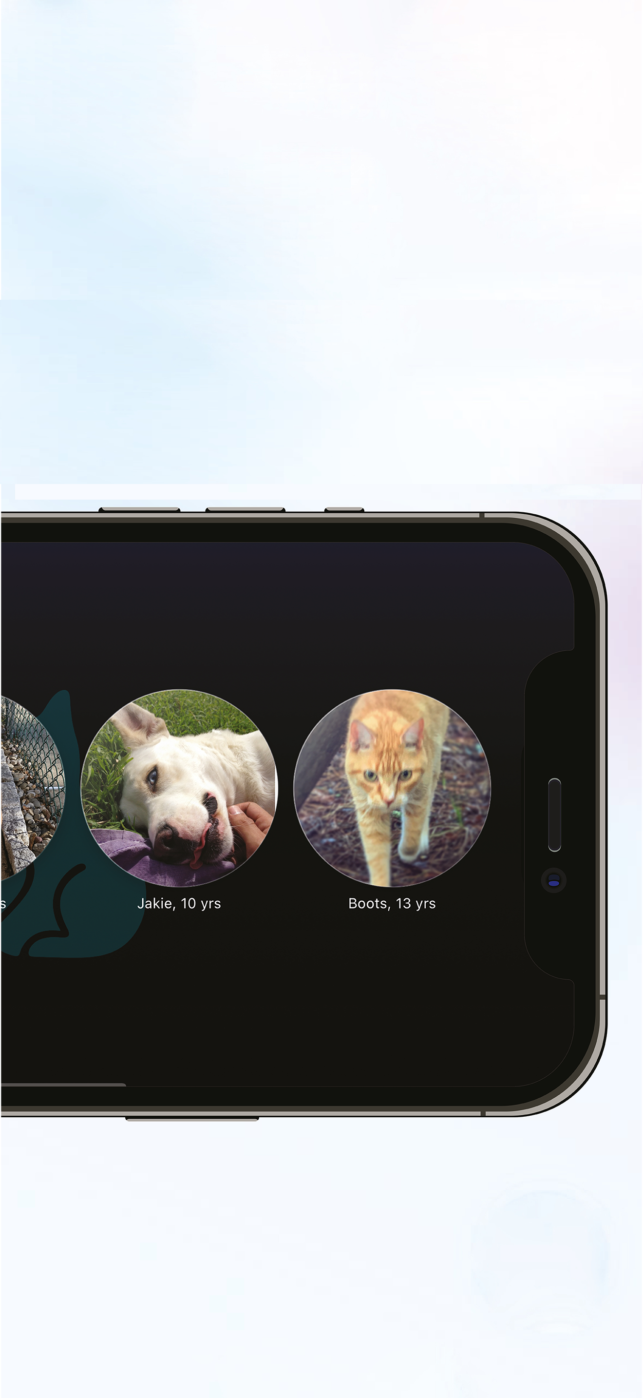 PetsPro screenshot 9