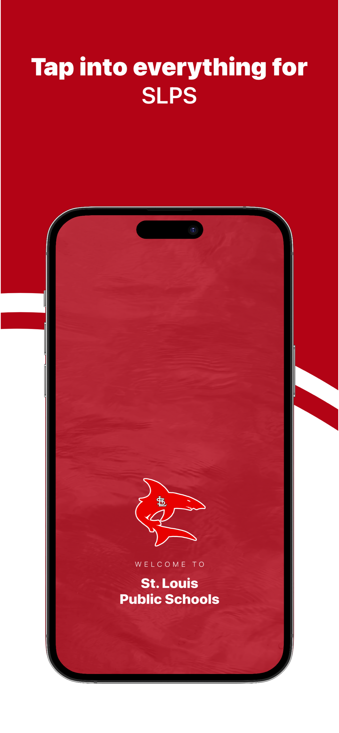 St. Louis Public Schools, MI