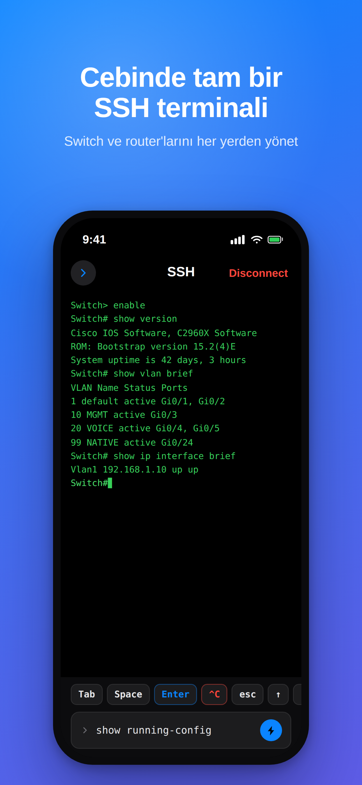Pingo Network Tools screenshot 3