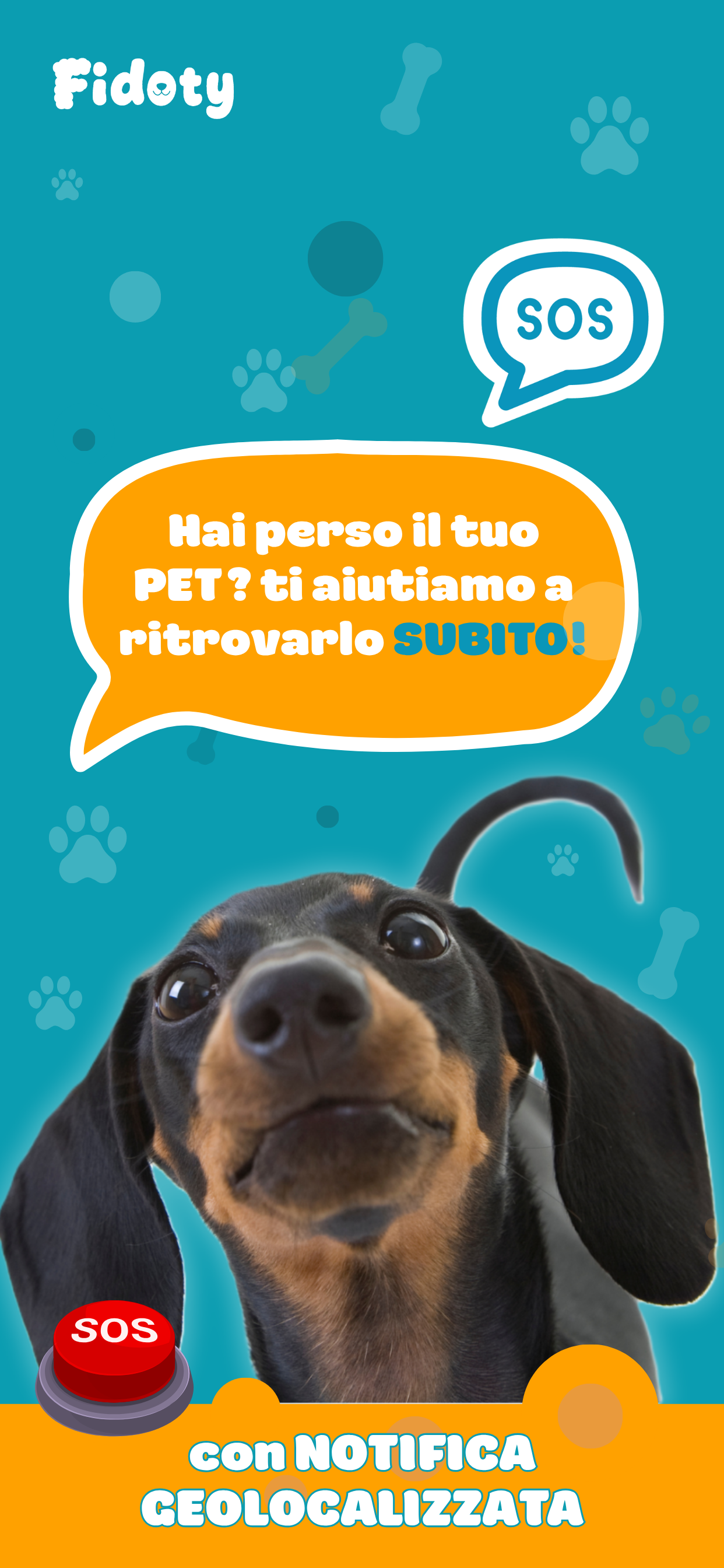 Fidoty