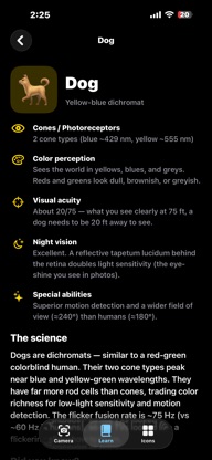 Animal Eye Sight screenshot 5